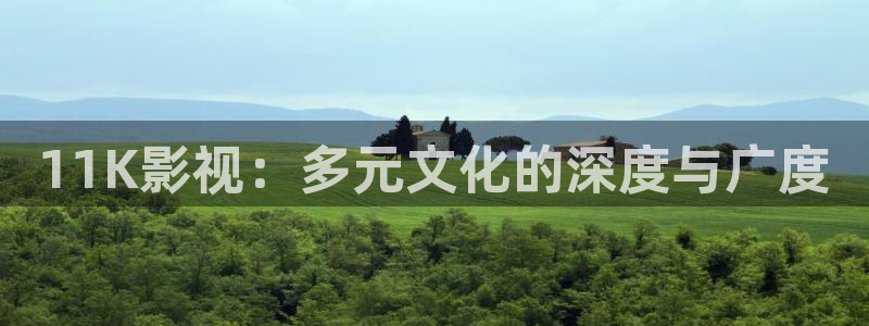 樱桃视频类似：11K影视：多元文化的深度与广度