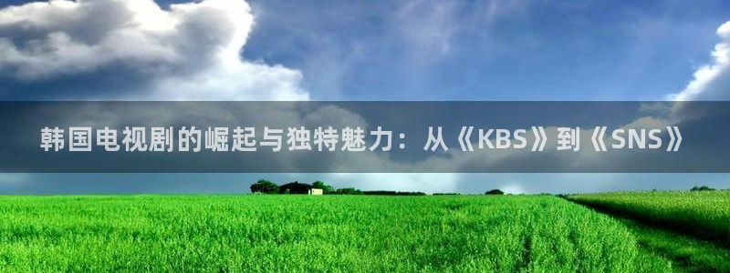 樱桃视频一级片：韩国电视剧的崛起与独特魅力：从《KBS》到《SNS》