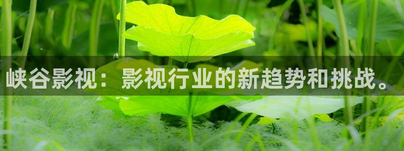 视频聊天软件樱桃：峡谷影视：影视行业的新趋势和挑战。