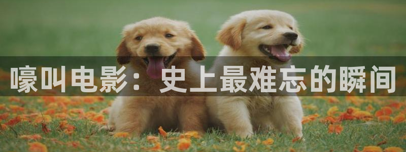 樱桃有几个品种：嚎叫电影：史上最难忘的瞬间