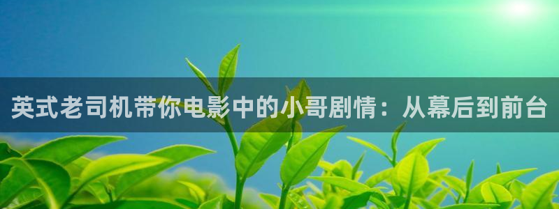 樱桃视频app旧版本：英式老司机带你电影中的小哥剧情：从幕后到前台