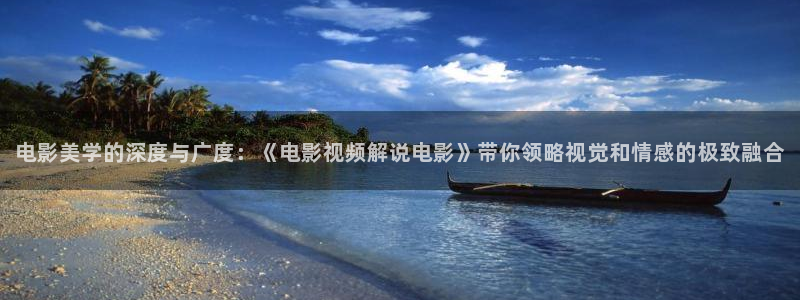 樱桃视频diy：电影美学的深度与广度：《电影视频解说电影》带你领略视觉和情感的极致融合