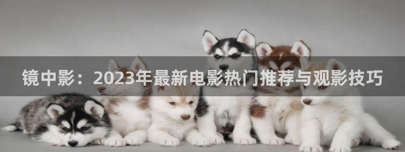 在线观看樱桃：镜中影：2023年最新电影热门推荐与观影技巧