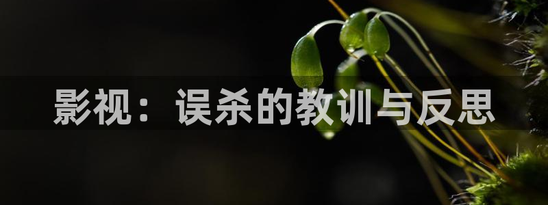樱桃传媒视频在线观看：影视：误杀的教训与反思