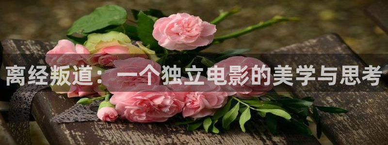 樱桃视频xxxxx：离经叛道：一个独立电影的美学与思考