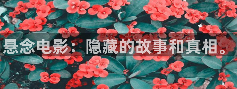 樱桃采摘园视频