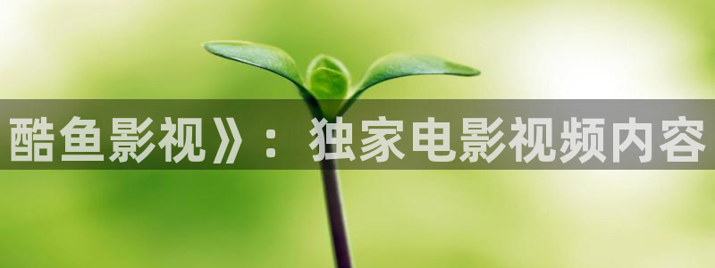 樱桃 特级