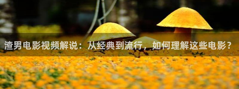 美剧樱桃免费版在线观看电视剧