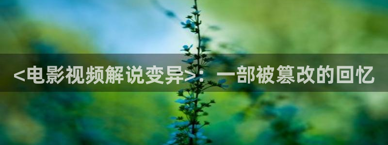 四虎成人影院樱桃视频