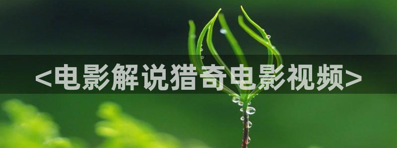 樱桃网在线观看电视剧免费全集
