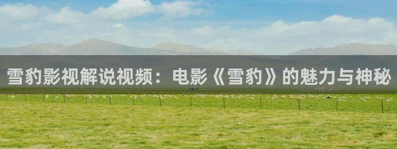 樱桃视频浏览器