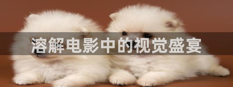 樱桃免费观看高清电视剧荣耀
