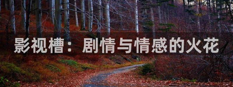 樱桃视频接口怎么接
