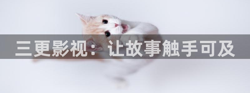 樱桃8.0
