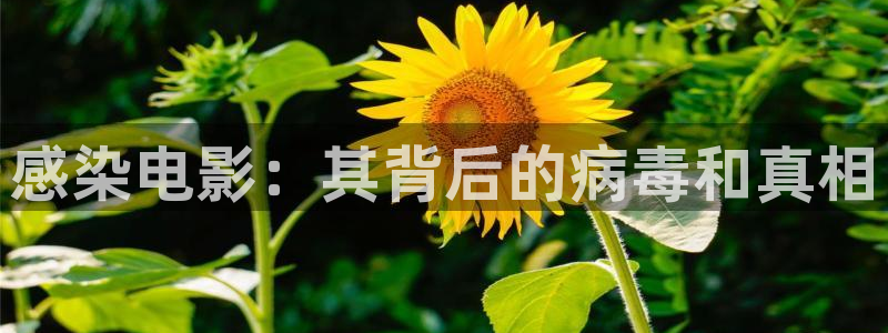 樱桃小视频地址