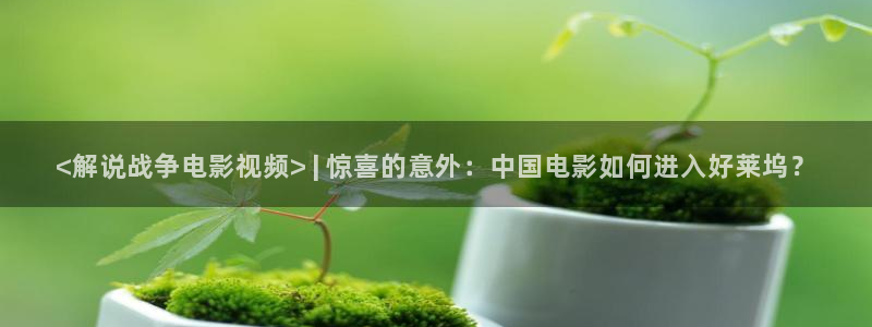 樱桃精品视频在线
