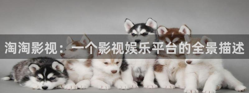 樱桃视频丝瓜视频