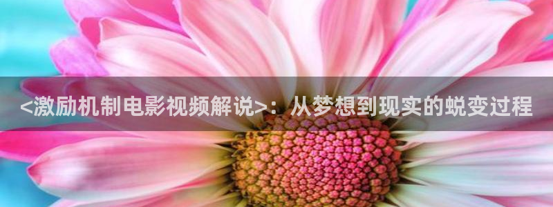 樱桃视频直接看