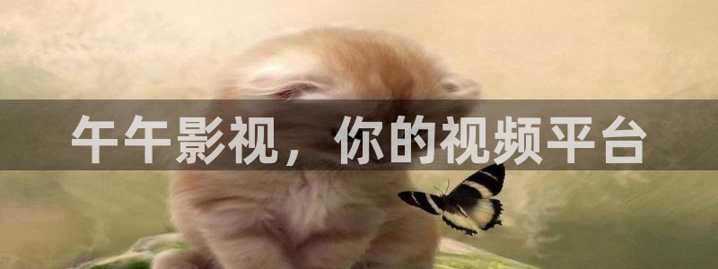 樱桃视频diy