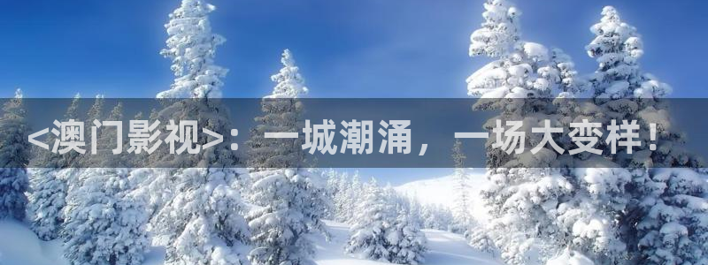 樱桃视频免费播放