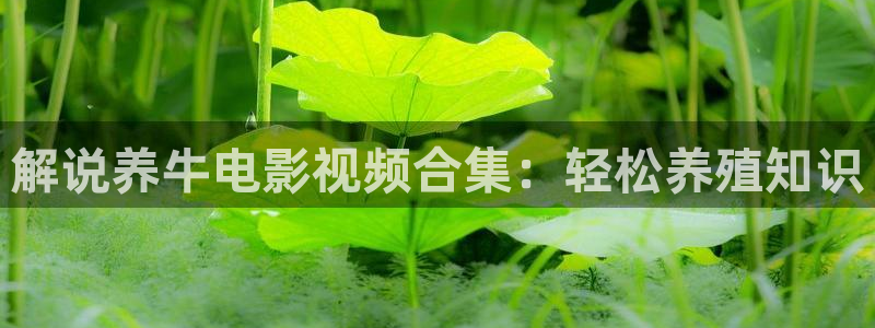 色樱桃影院