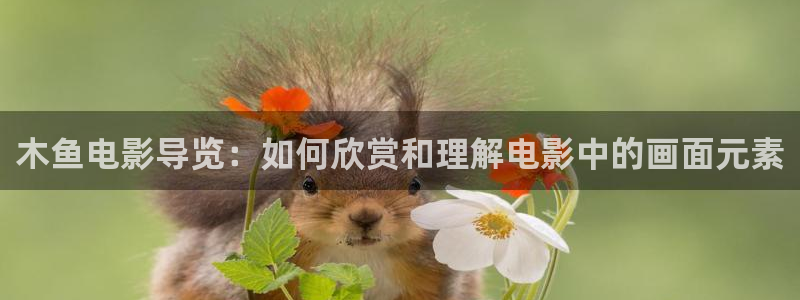 樱桃短视频18
