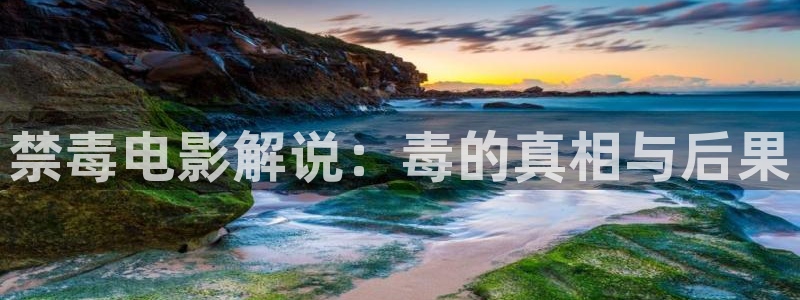 电影樱桃未删减