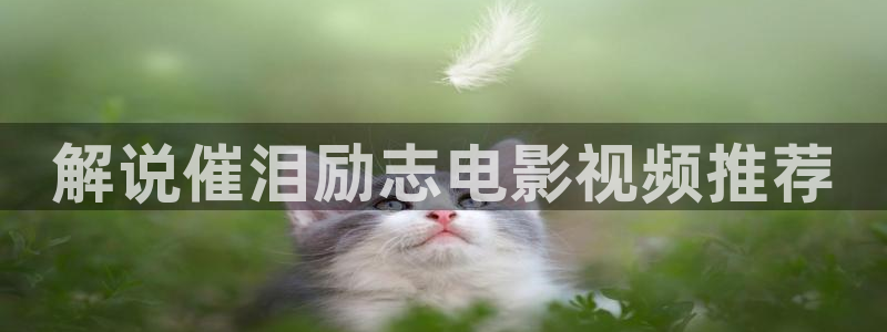 199樱桃视频