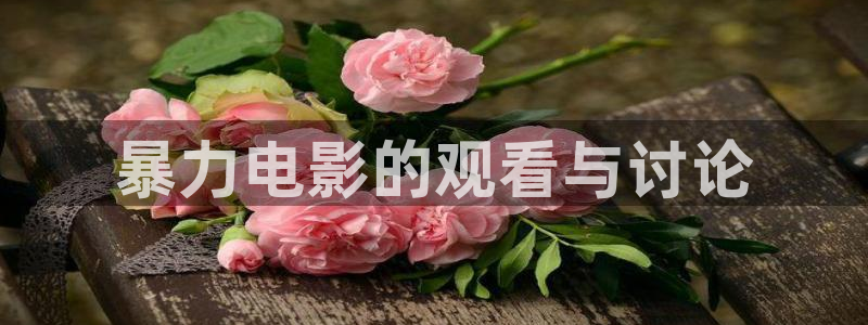 樱桃正红电视剧在线观看高清完整版