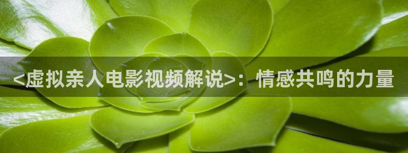 樱桃电影大全电视剧在线观看