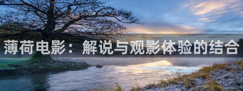樱桃小视频十八岁：薄荷电影：解说与观影体验的结合