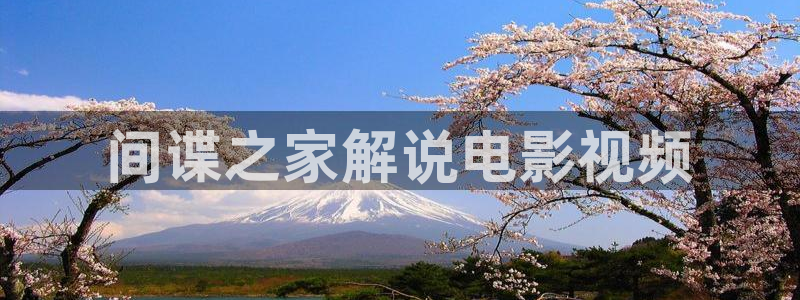 樱桃视频78：间谍之家解说电影视频