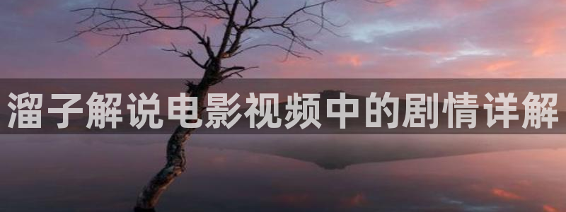 小辣椒樱桃福利视频导航：溜子解说电影视频中的剧情详解