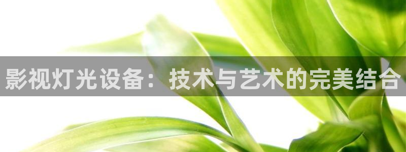 樱桃视频里：影视灯光设备：技术与艺术的完美结合