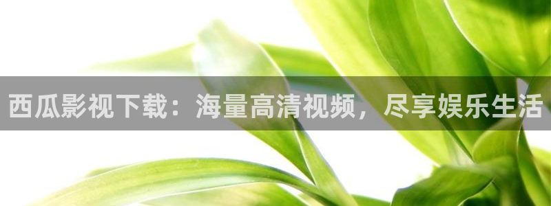 樱桃影院视频区
