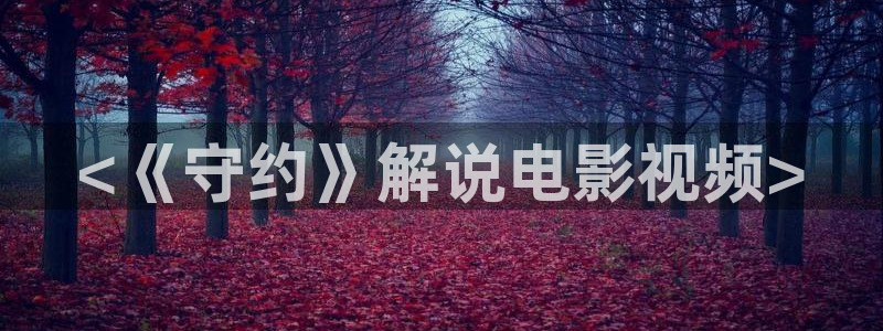 樱桃在线：<《守约》解说电影视频>