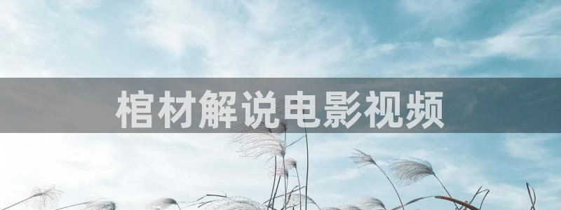 樱桃电影未删减版：棺材解说电影视频
