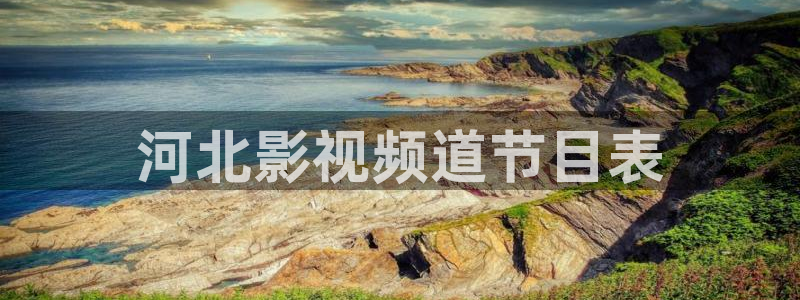 樱桃视频大全免费在线观看