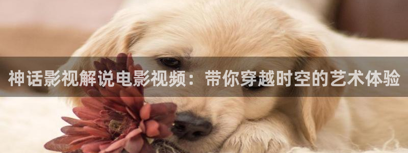 樱桃成熟了电影