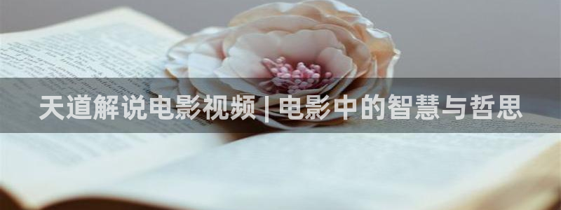 樱桃导航视频在线
