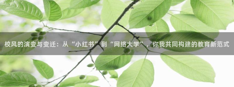 下载樱桃视频app