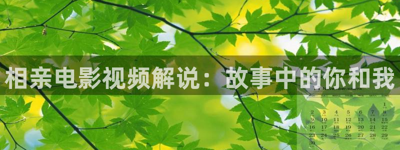 樱桃免费高清电视剧电影在线观看