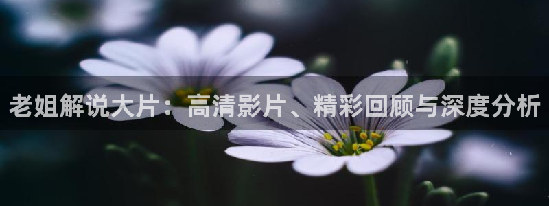 大樱桃栽培视频
