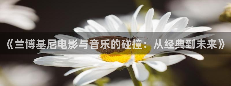 樱桃密植栽培视频